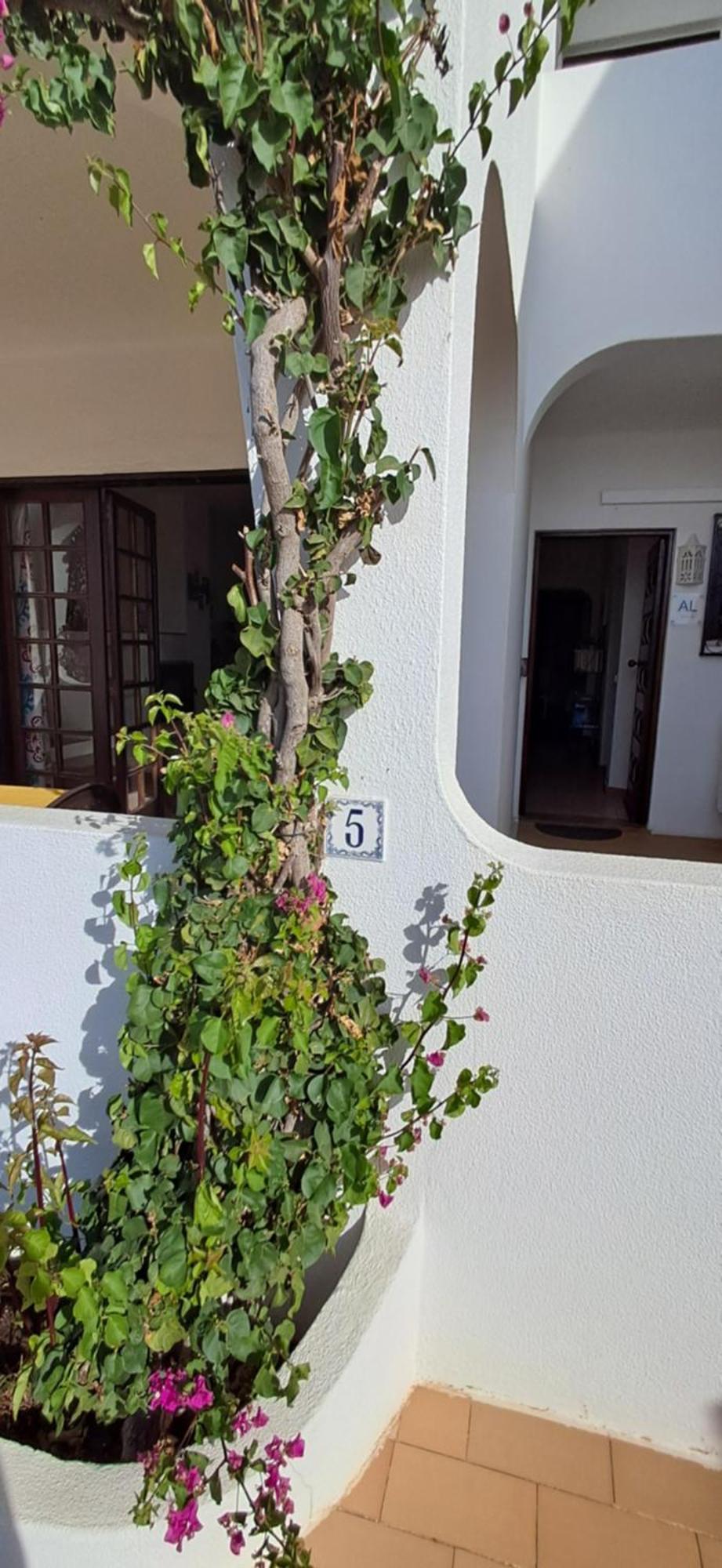 Apartamento Neptuno Benagil Zewnętrze zdjęcie